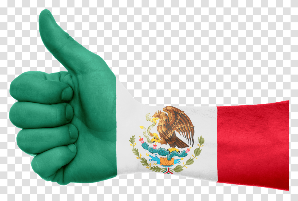 Mexico Flag, Chicken, Poultry, Fowl, Bird Transparent Png