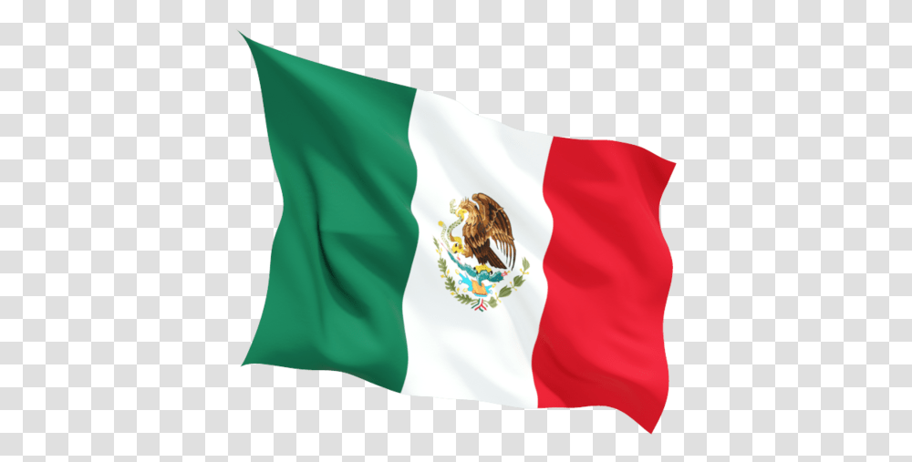 Mexico Flag Hd Mexico Flag, Honey Bee, Insect, Invertebrate Transparent Png