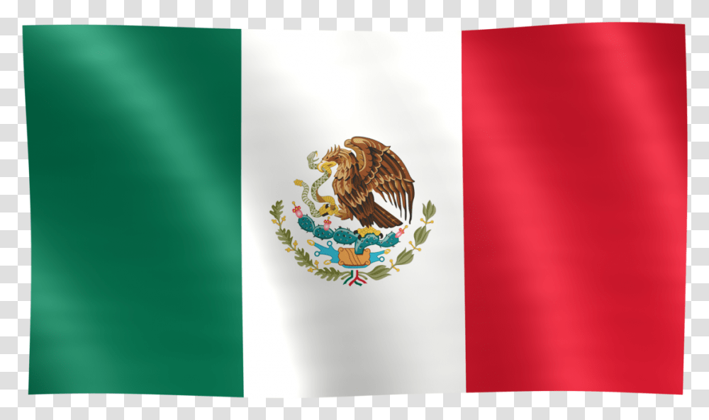 Mexico Flag Images Image Of Mexican Flag, Bird, Animal, Chicken Transparent Png