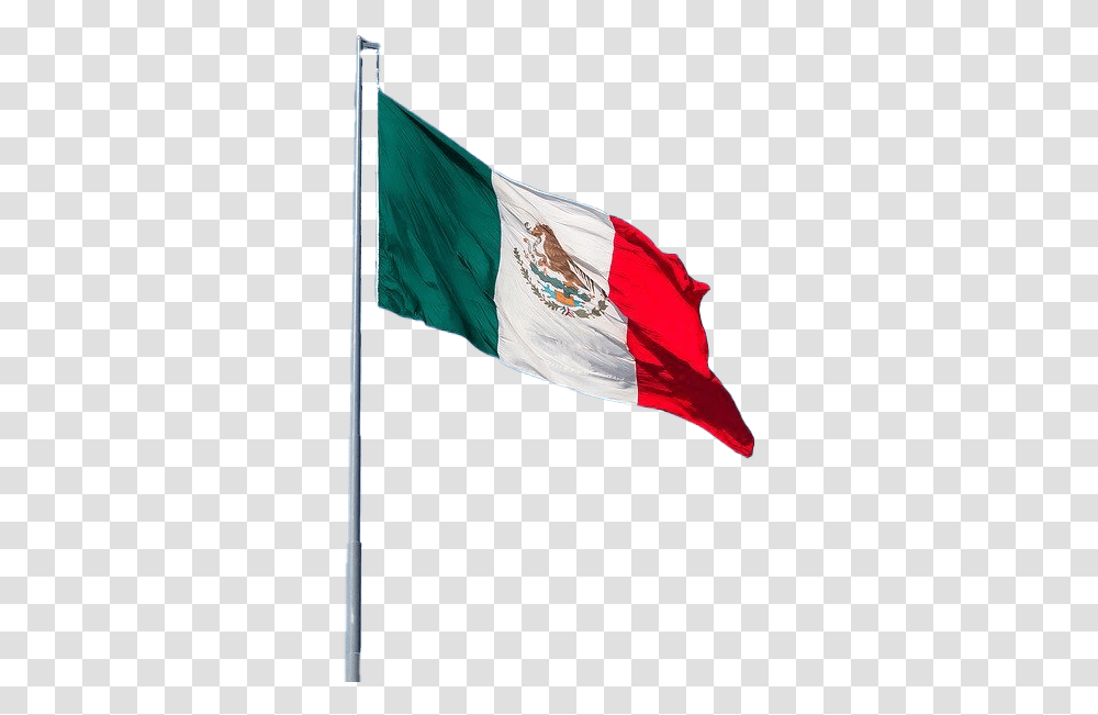 Mexico Flag Photo Image Real Pole Mexican Flag, Symbol, American Flag Transparent Png