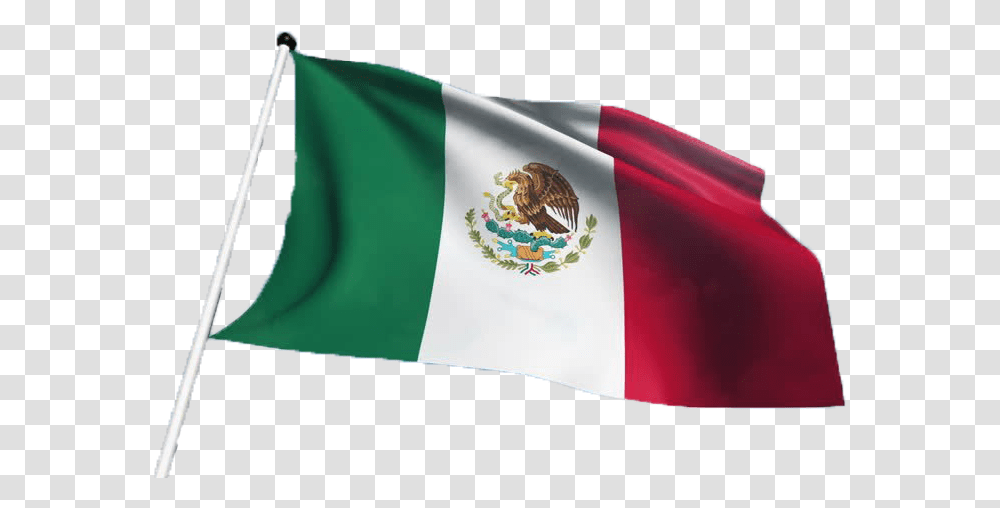 Mexico Flag Pic Background, American Flag, Bird, Animal Transparent Png