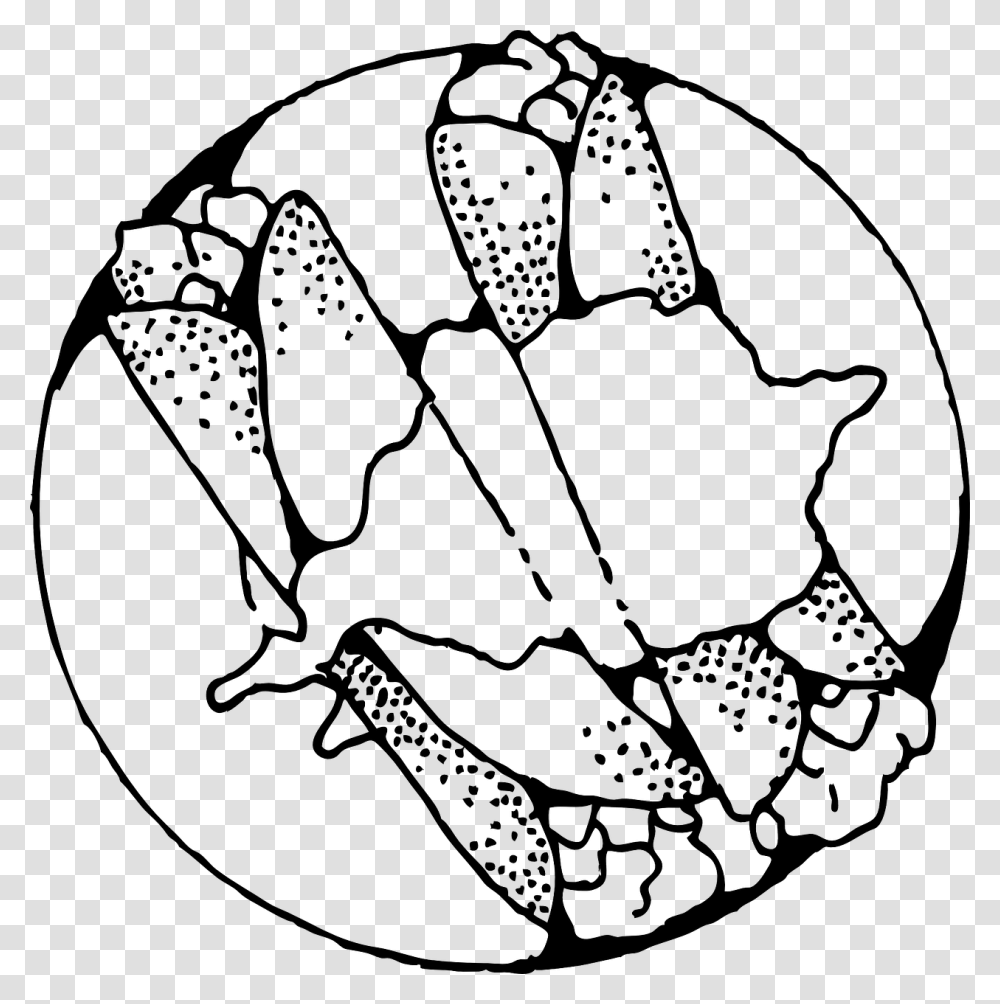 Mexico Food Coloring Pages, Sphere, Astronomy, Outer Space, People Transparent Png
