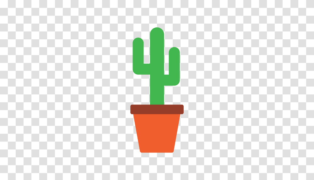 Mexico Hat Cactus, Green Transparent Png