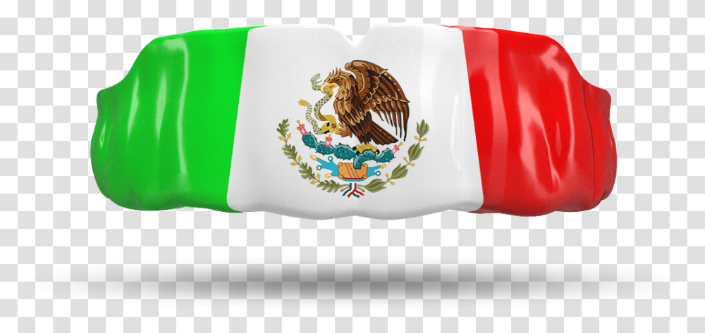 MexicoClass Custom Mouth Guard Football Mexico, Bird, Animal, Logo Transparent Png