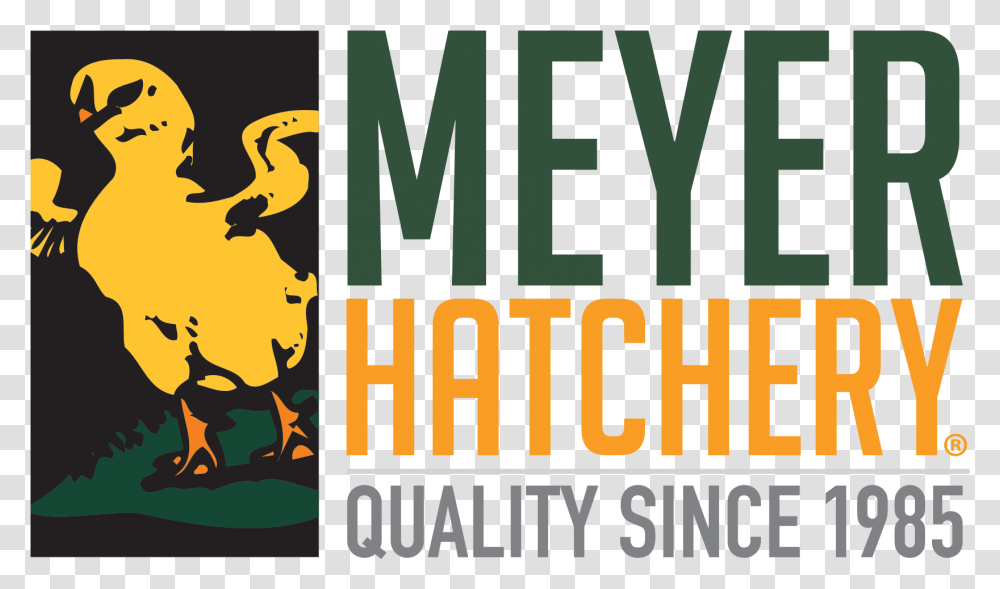 Meyer Hatchery, Label, Word, Alphabet Transparent Png