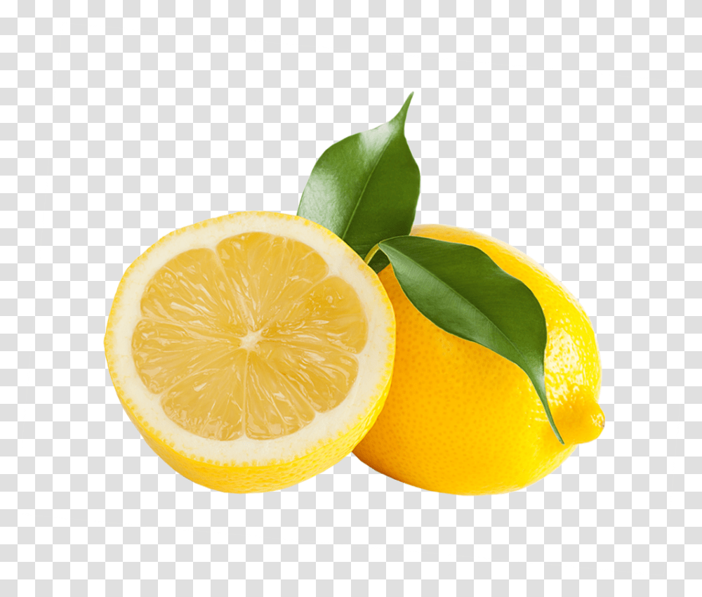 Meyer Lemon, Citrus Fruit, Plant, Food, Orange Transparent Png
