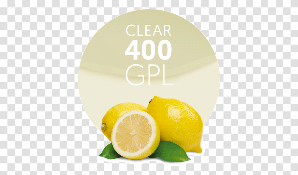 Meyer Lemon, Plant, Citrus Fruit, Food, Orange Transparent Png
