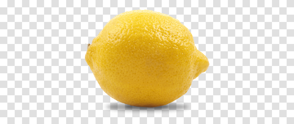 Meyer Lemon, Plant, Citrus Fruit, Food, Tennis Ball Transparent Png
