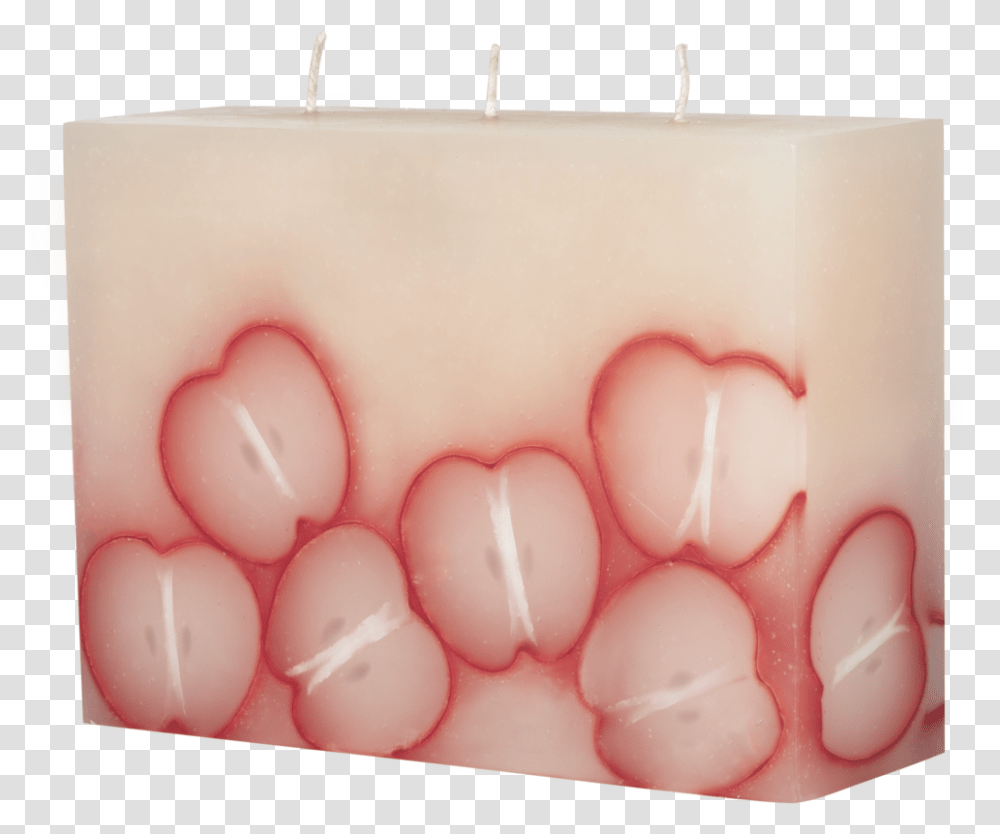 Mg, Jaw, Teeth, Mouth, Lip Transparent Png