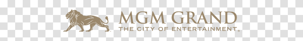 Mgm Grand Detroit, Word, Label, Alphabet Transparent Png