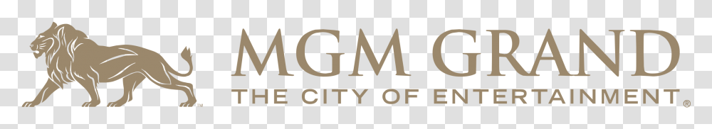 Mgm Logo, Label, Alphabet, Word Transparent Png