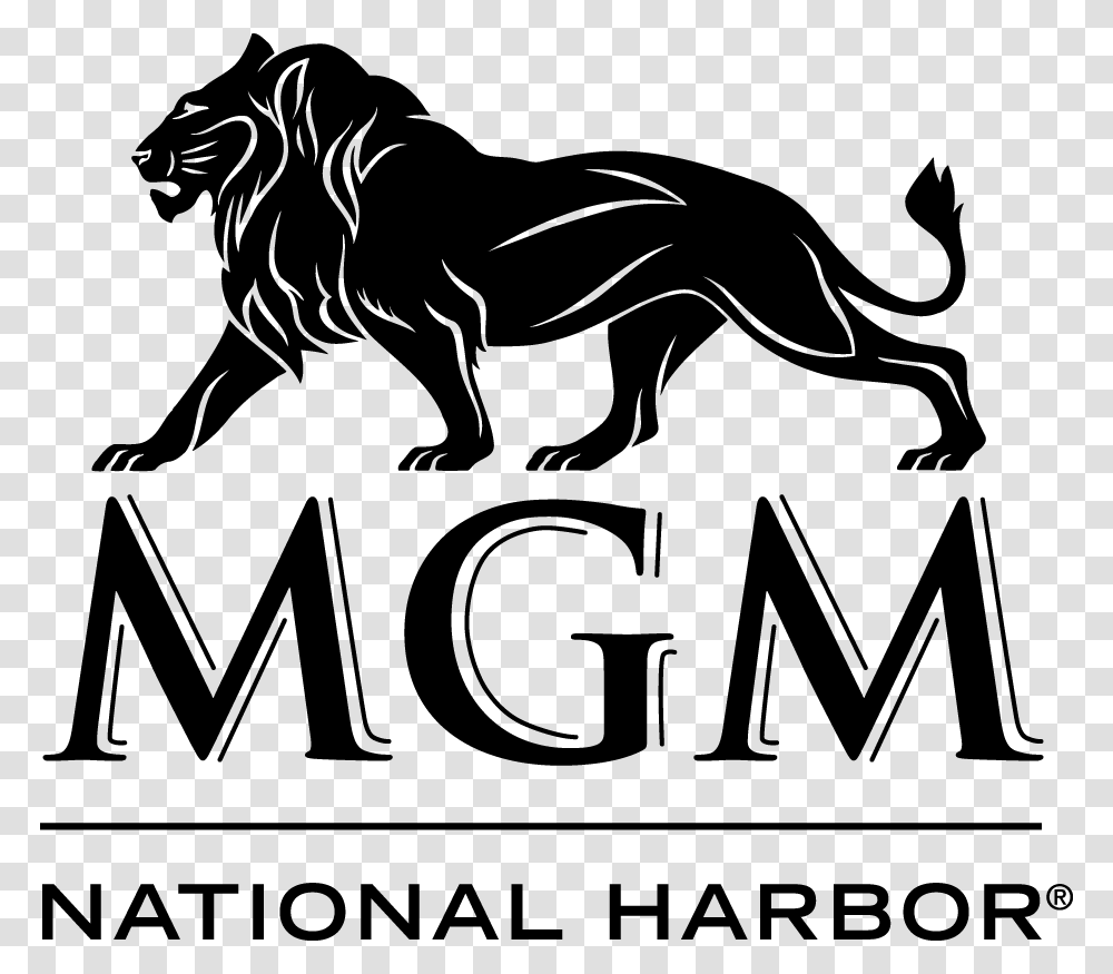 Mgm Logo, Word, Lion, Wildlife, Mammal Transparent Png