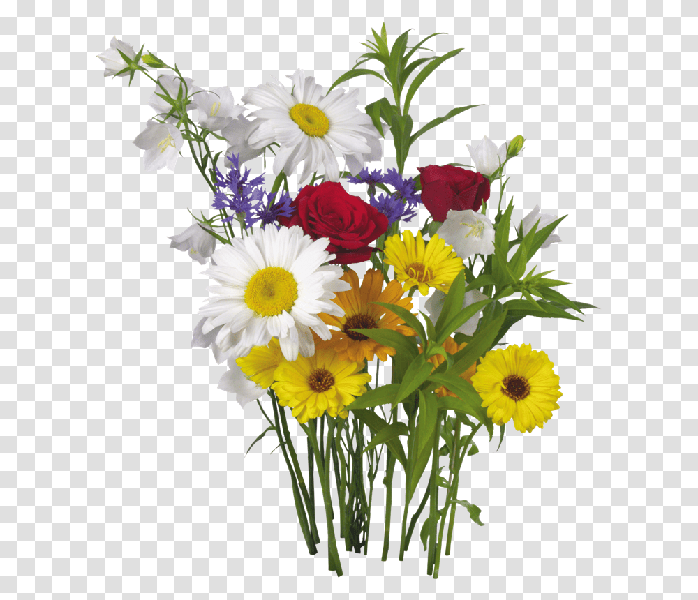 Mi Artista Favorito Es Colour Flower And White Hd Background, Plant, Blossom, Flower Bouquet, Flower Arrangement Transparent Png