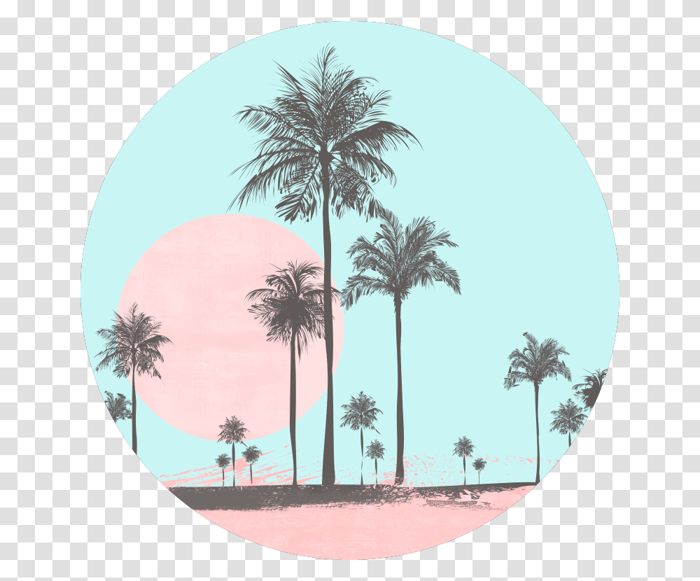 Miami Beach Miami Beach Seaside Coastal Palm Feeds Instagram Blue Pastel, Tree, Plant, Palm Tree, Arecaceae Transparent Png