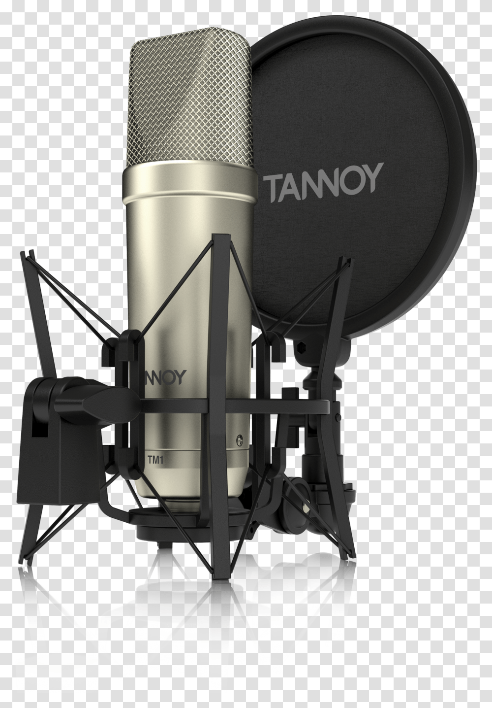 Mic Recording & Clipart Free Tm1 Tannoy Microphone Condenser, Lamp, Electrical Device Transparent Png