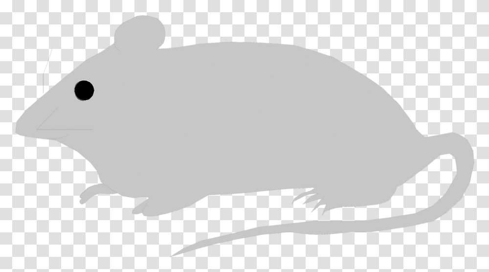 Mice Clipart Deer Mouse Free Mouse Illustration Free, Mammal, Animal, Rodent, Mole Transparent Png
