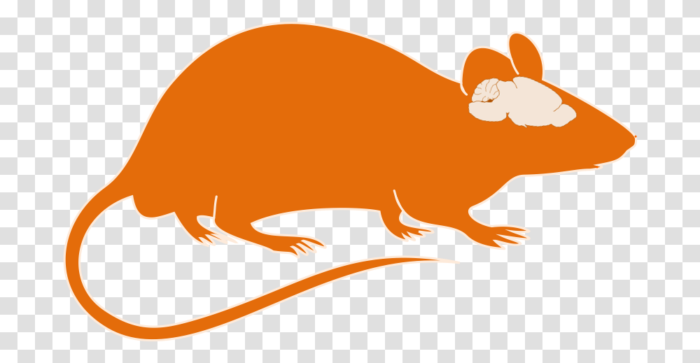 Mice Clipart Orange Animal Clipart With Brain, Mammal, Wildlife, Beaver, Rodent Transparent Png
