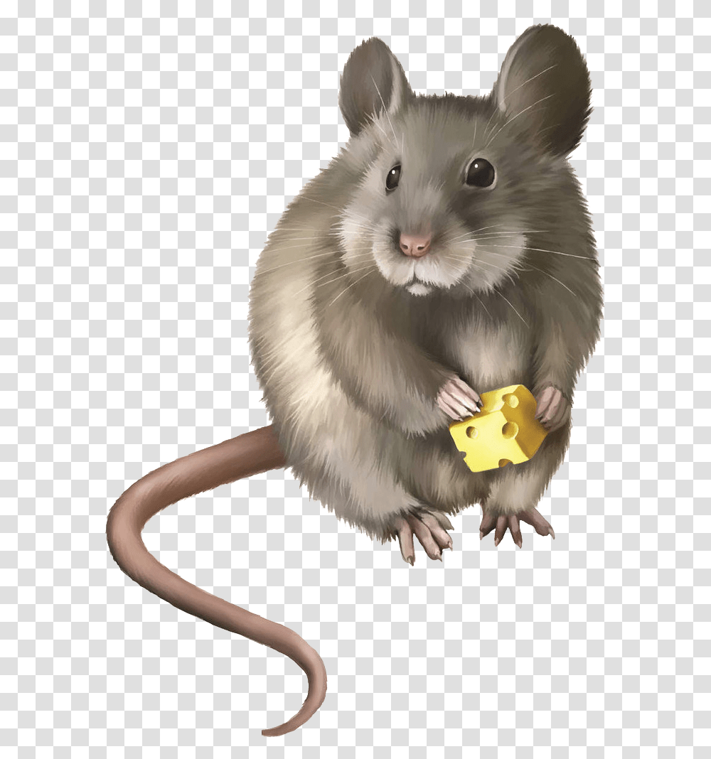 Mice Clipart Rodent Realistic Mouse Clipart, Mammal, Animal, Pet, Hamster Transparent Png