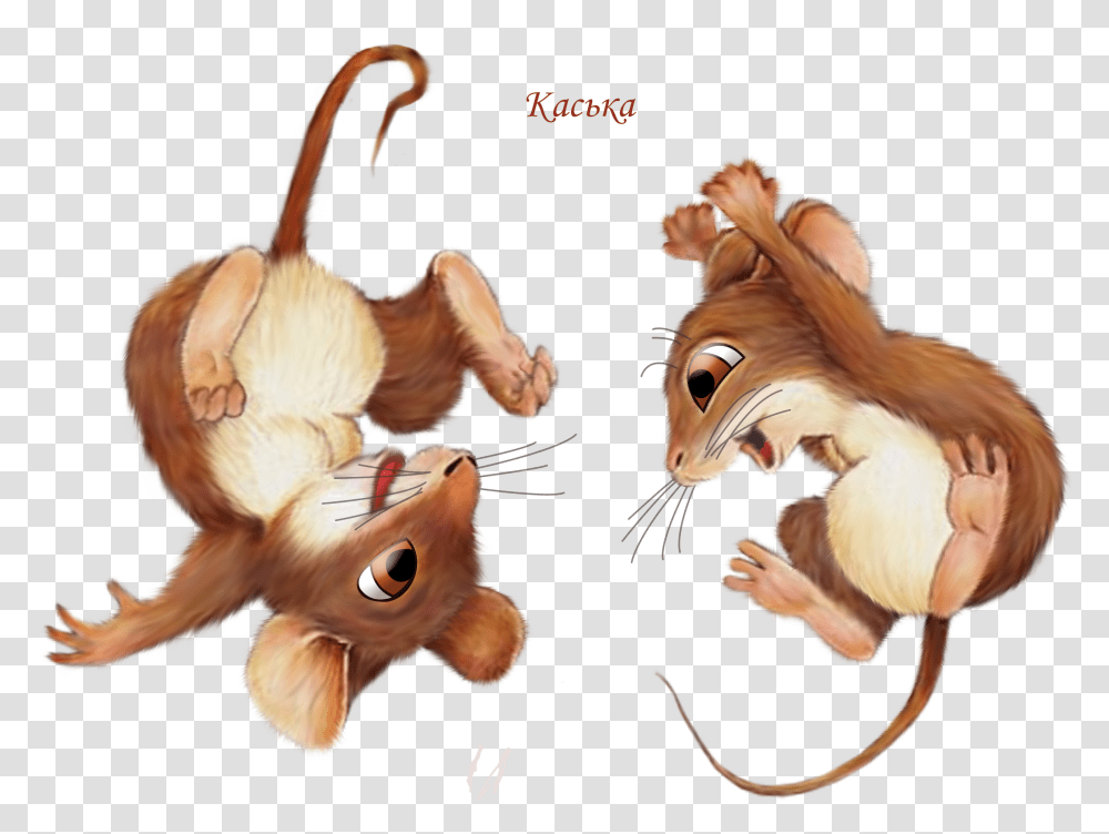 Mice Happy Flips Transparent Png