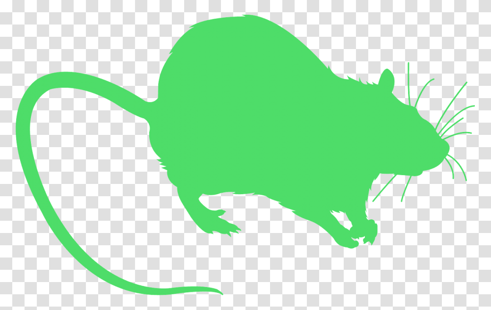 Mice Simple, Animal, Mammal, Wildlife, Reptile Transparent Png