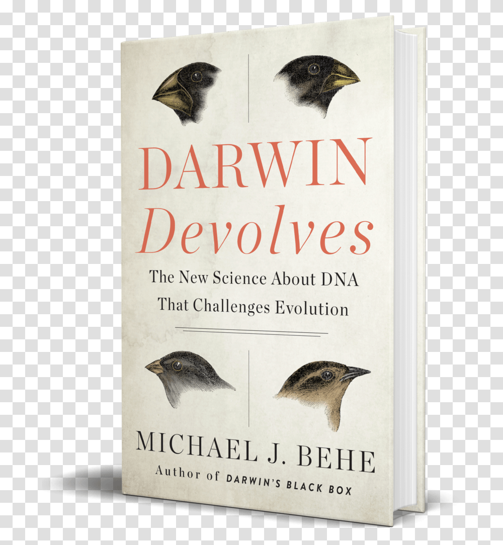 Michael Behe Darwin Devolves, Bird, Animal, Novel, Book Transparent Png