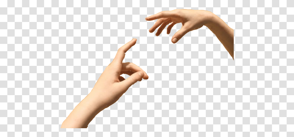 Michaelangelo Hands Freetoedit, Person, Human, Finger, Wrist Transparent Png