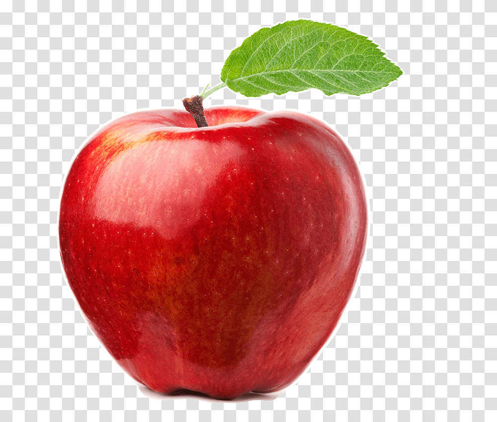 Michigan Marketing Real Apple, Fruit, Plant, Food Transparent Png