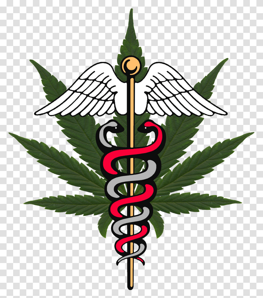 Michigan Medical Report World Symbol Marijuana, Plant, Weed, Flower, Blossom Transparent Png