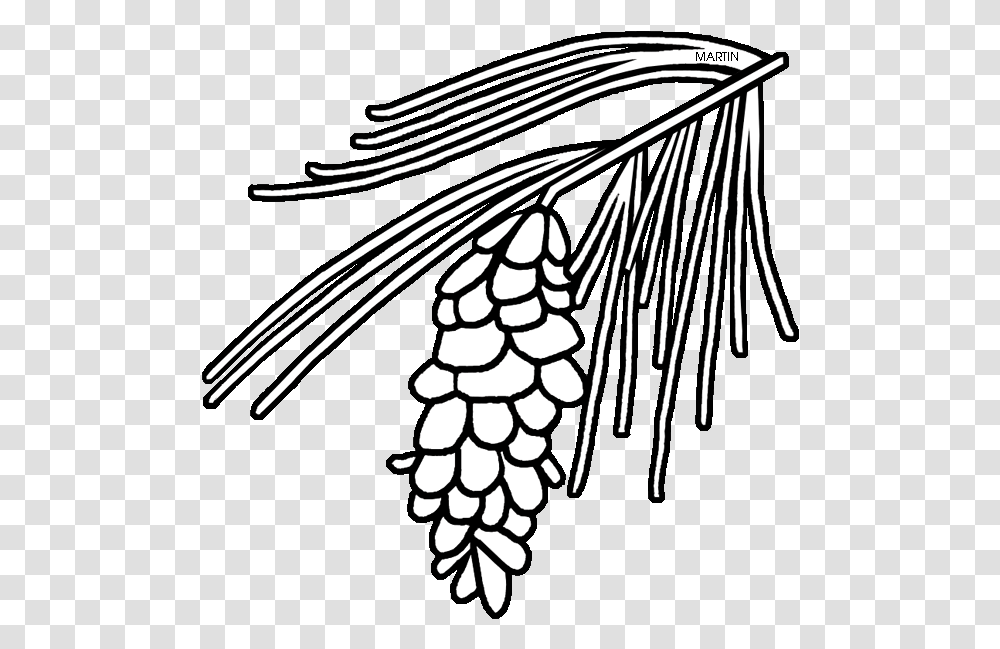 Michigan State Tree White Pine Pine Needle Clipart Black And White, Plant, Food, Animal, Grain Transparent Png