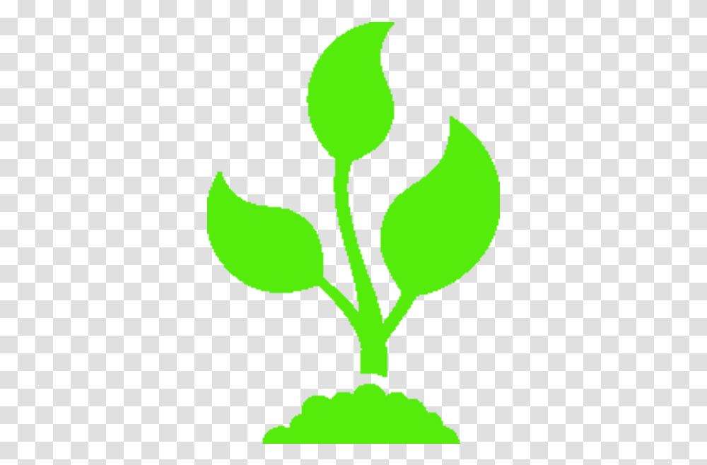 Microfinance Agribusiness Icon, Plant, Seed, Grain, Produce Transparent Png