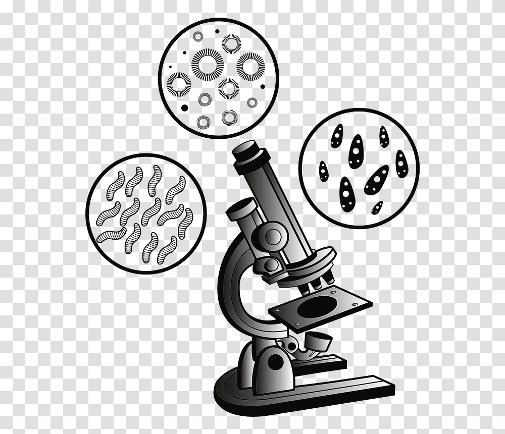 Microscope And Virus Clipart Background Microscope Clipart Transparent Png
