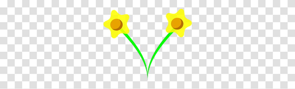 Microsoft Clipart Spring Flowers, Plant, Tulip, Blossom, Light Transparent Png