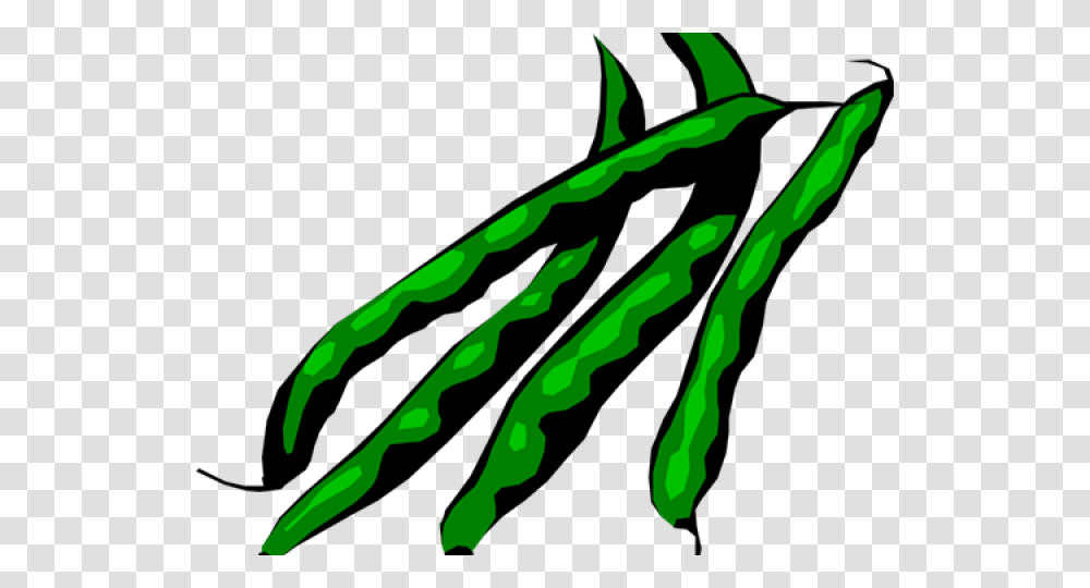 Microsoft Clipart String Bean Green Beans Clipart, Plant, Animal, Sea Life, Fork Transparent Png