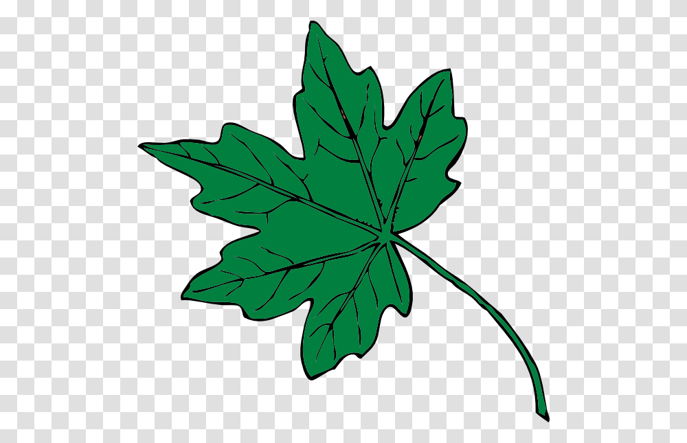 Mid Green Maple Leaf Clip Art At Clker Thanksgiving Leaf Clip Art, Plant, Tree Transparent Png