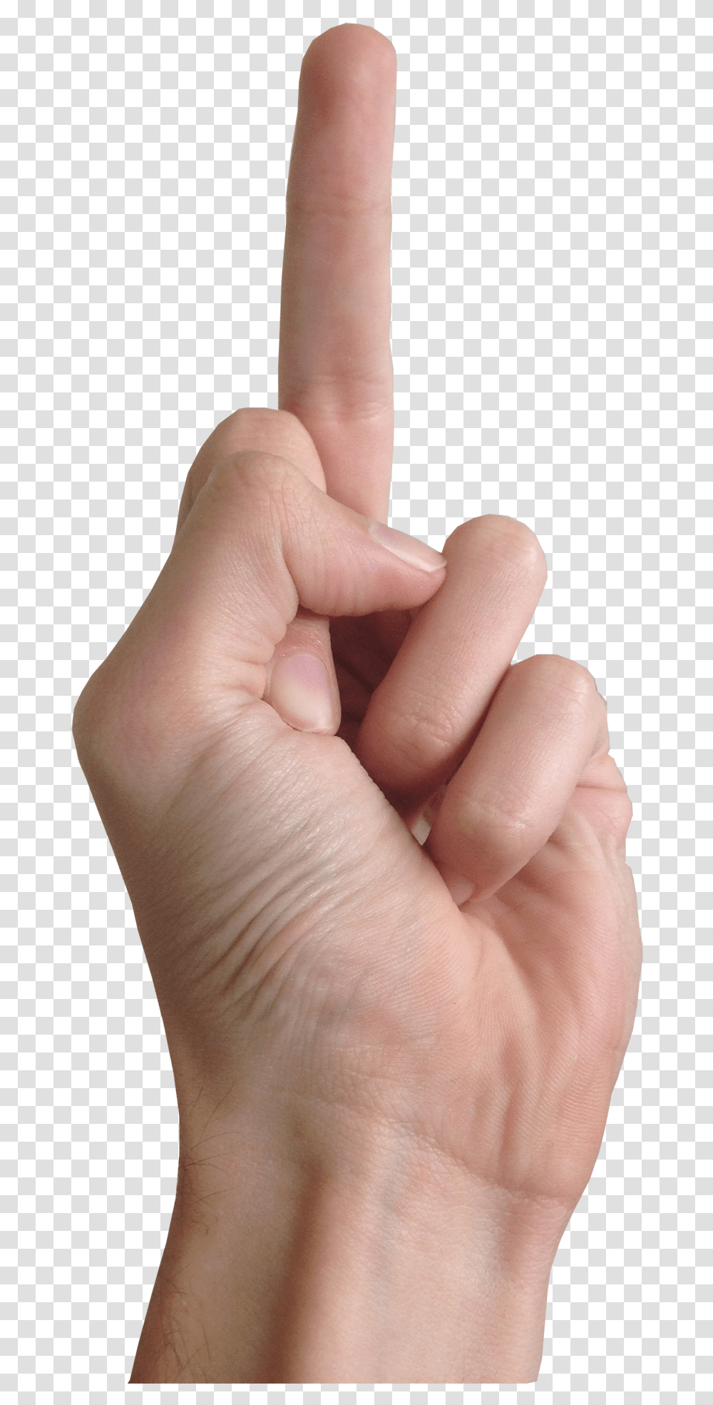 Middle Finger Middle Finger, Person, Human, Hand Transparent Png