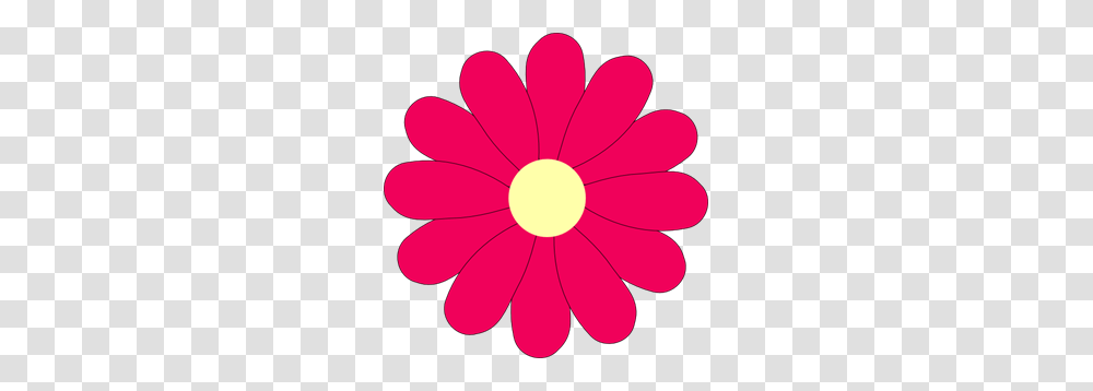 Middle Images Icon Cliparts, Petal, Flower, Plant, Blossom Transparent Png