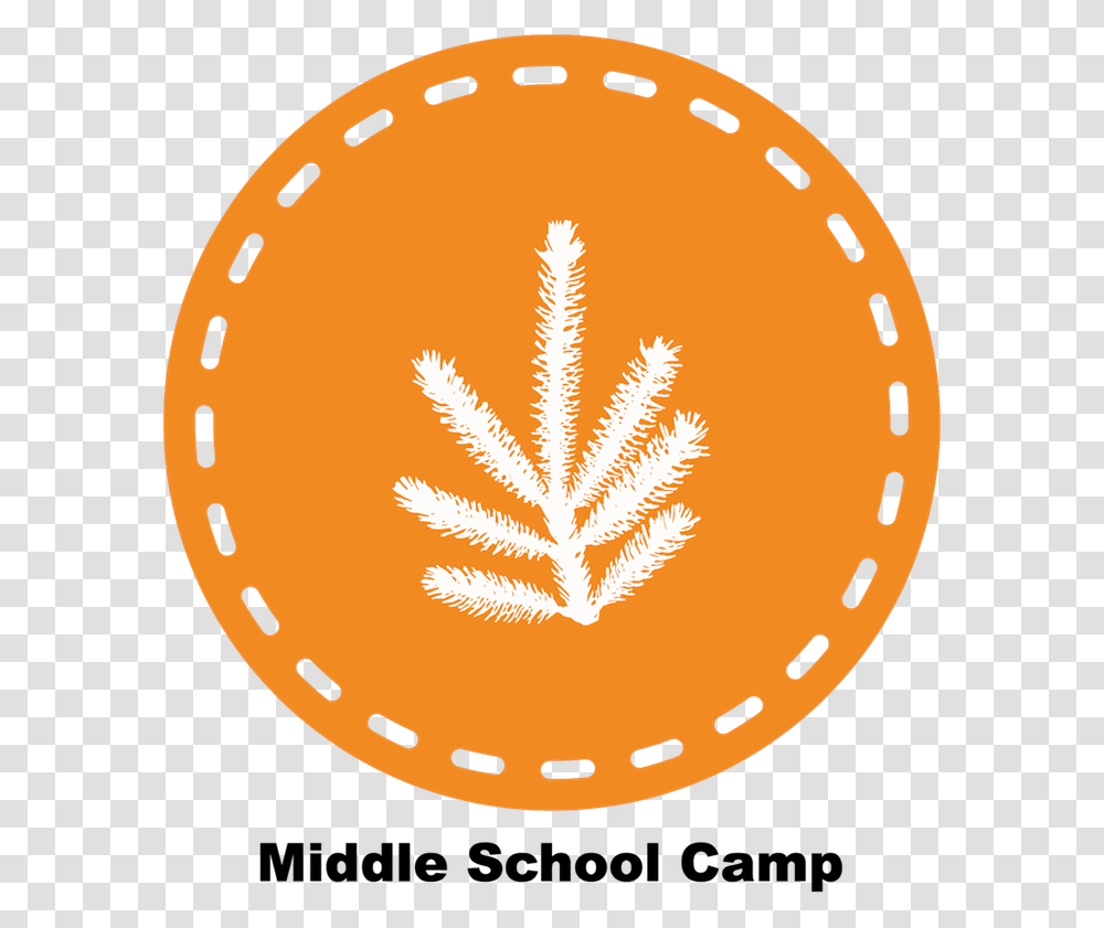 Middle School Camp, Leaf, Plant, Tree, Soccer Ball Transparent Png