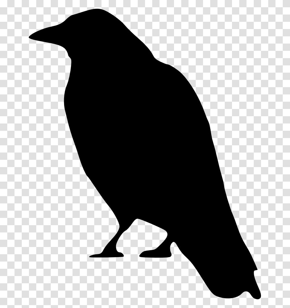 Middle School Library Raven, Silhouette, Crow, Bird, Animal Transparent Png