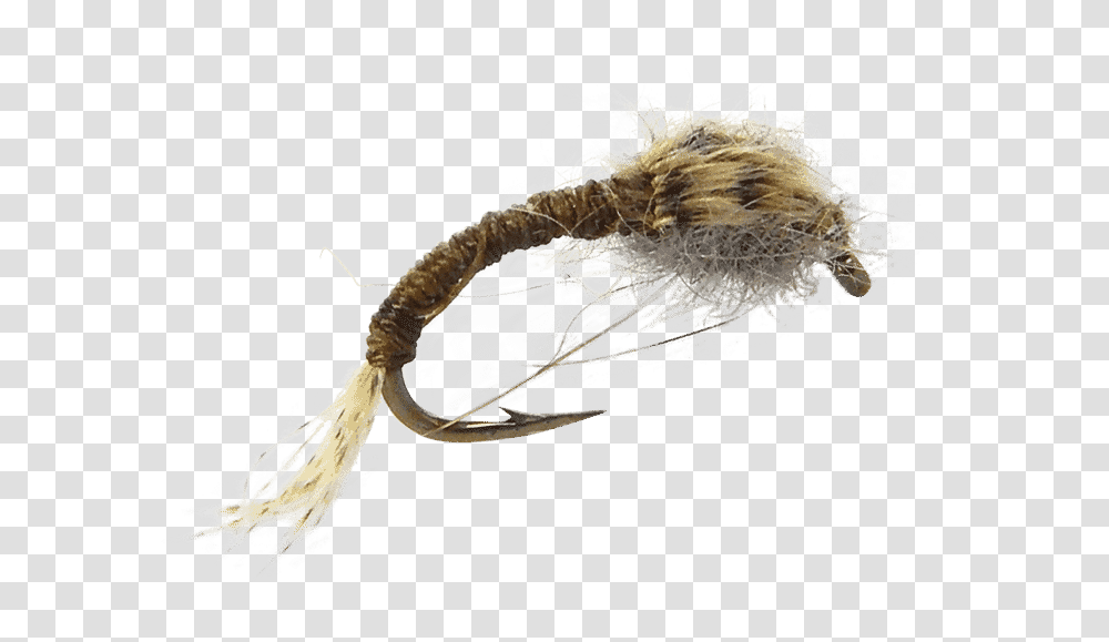 Midge Larva Emerger Fly Pattern Mayfly Emerger Fly Fishing Fly, Antler, Hook, Claw, Broom Transparent Png