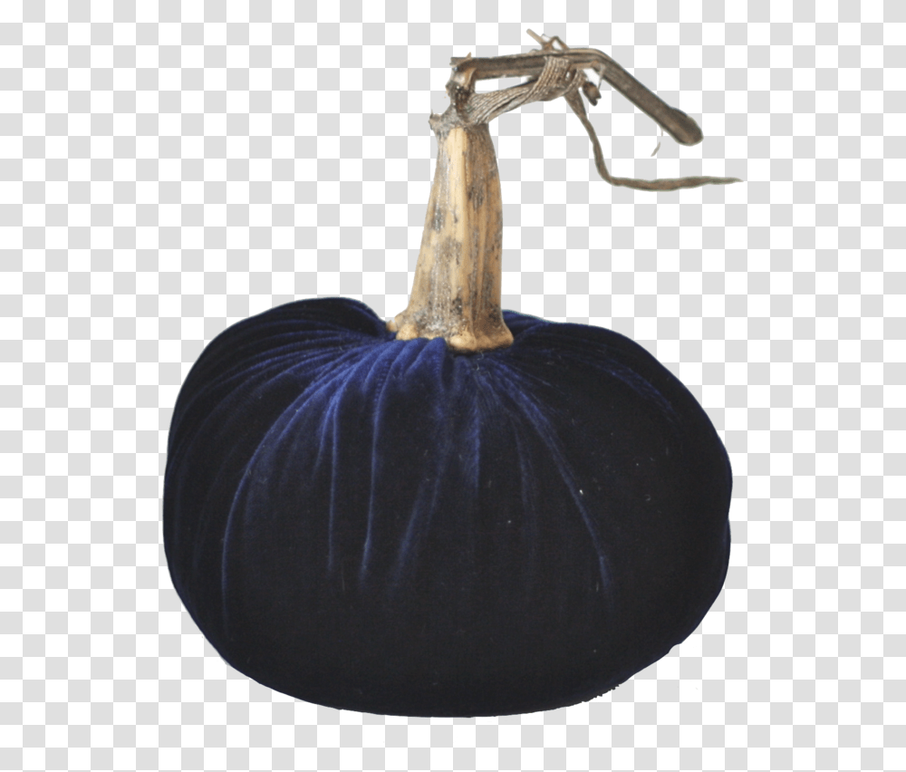 Midnight Blue Velvet Pumpkin With Real Stem Velvet Pumpkin Background, Plant, Vegetable, Food, Produce Transparent Png