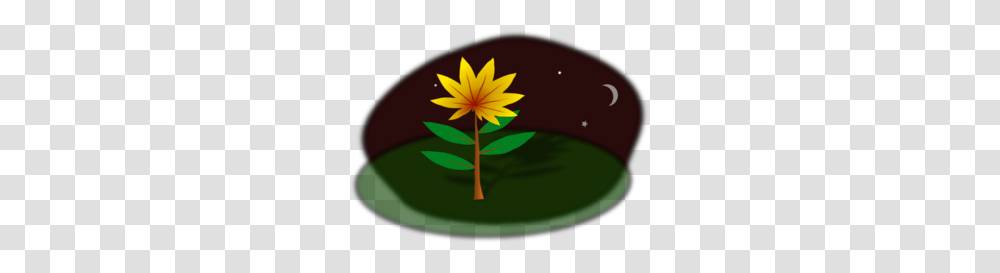 Midnight Flower Cartoon Clip Art, Plant, Nature, Vegetation, Leaf Transparent Png