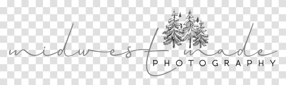 Midwest Made Photography, Handwriting, Bow, Signature Transparent Png