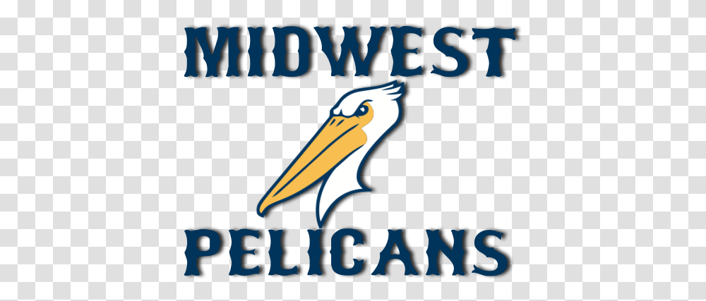 Midwest Pelicans Baseball Where Good Players Become Great Graphic Design, Bird, Animal, Poster, Advertisement Transparent Png
