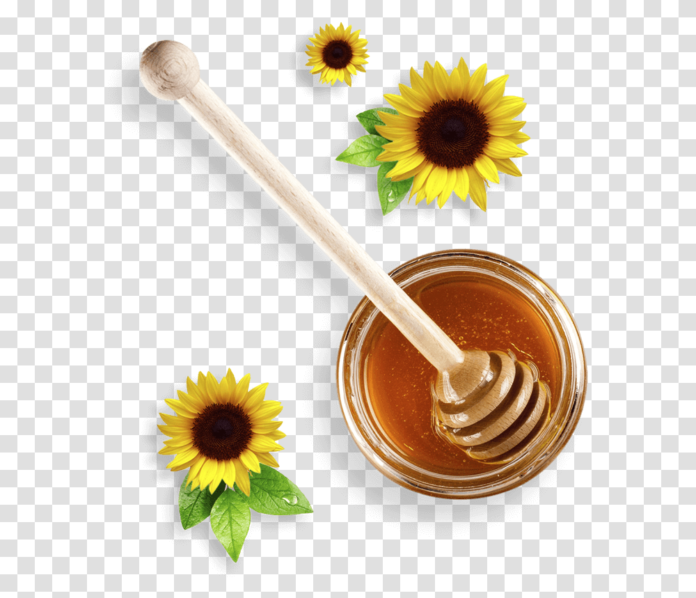 Miel De Abeja Sunflower, Plant, Honey, Food, Spoon Transparent Png