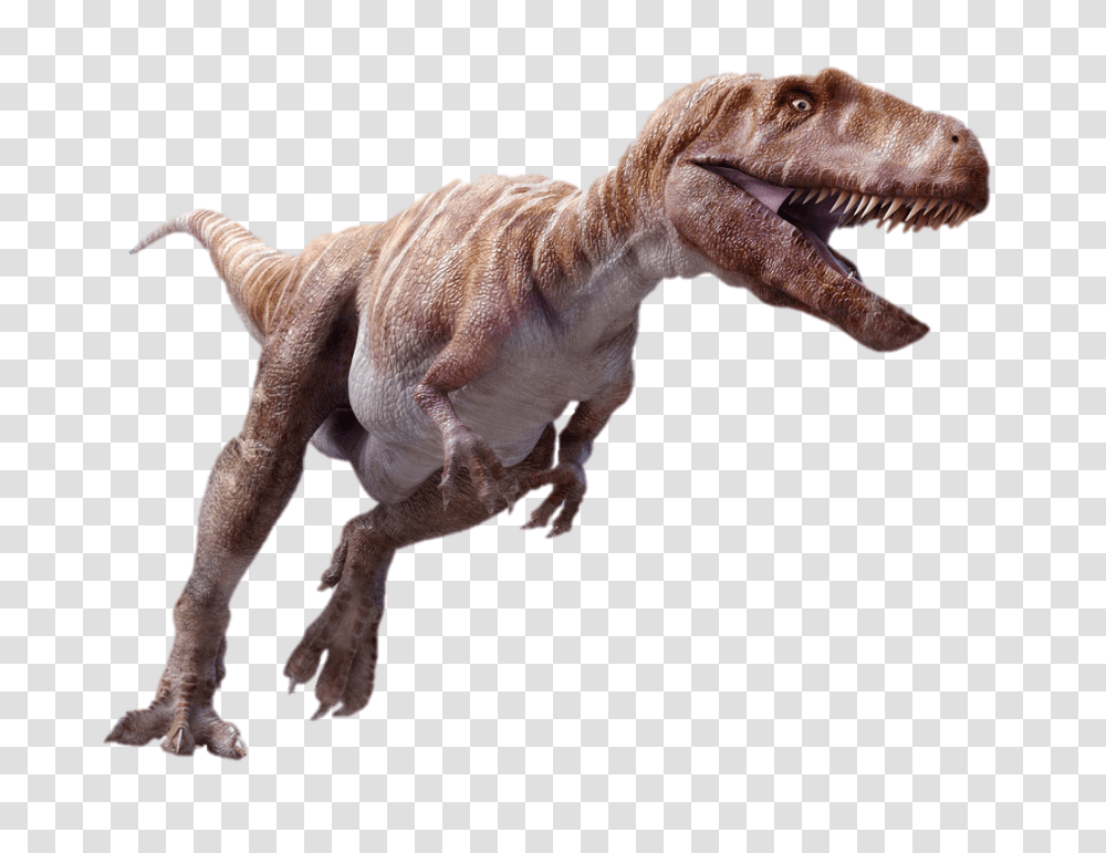 Mighty Megalosaurus, Fantasy, T-Rex, Dinosaur, Reptile Transparent Png