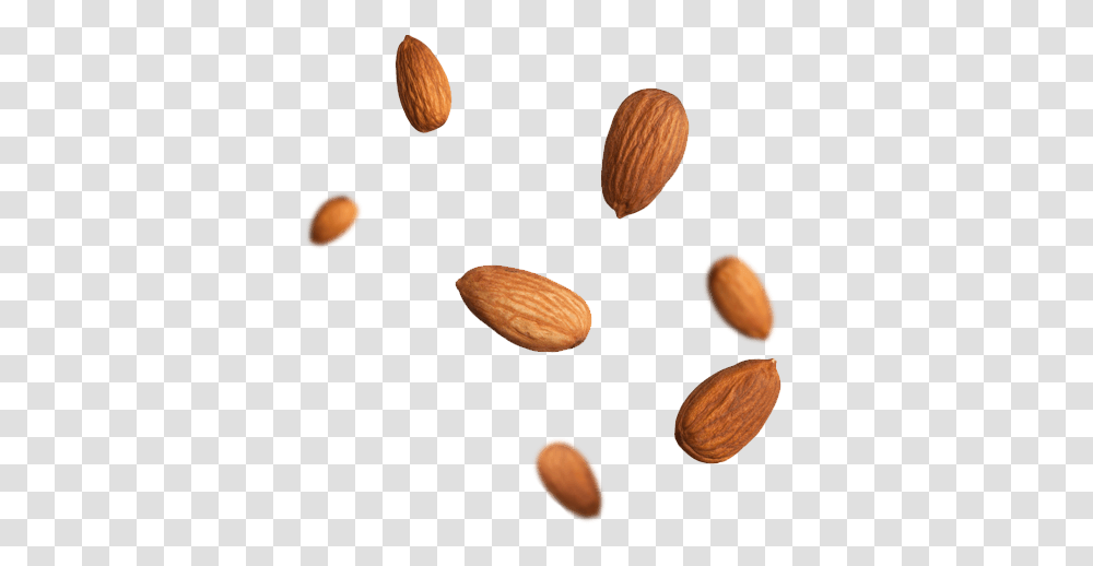 Mike Mikes Toronto Ontario Organic Food Distributor Canada, Almond, Nut, Vegetable, Plant Transparent Png