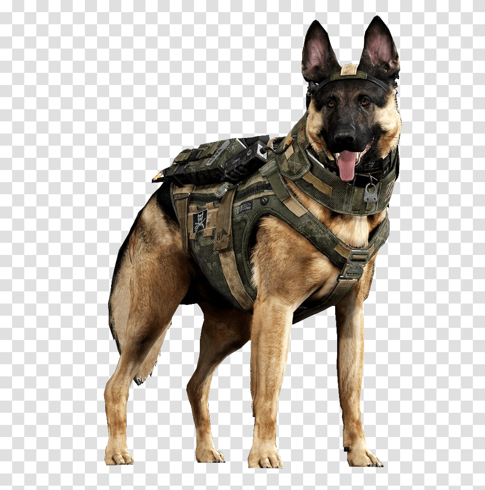 Military German Shepherd Dog, Pet, Canine, Animal, Mammal Transparent Png