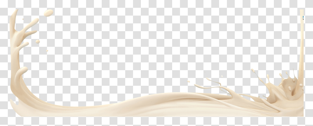 Milk, Drink, Bathtub, Dairy, Plant Transparent Png