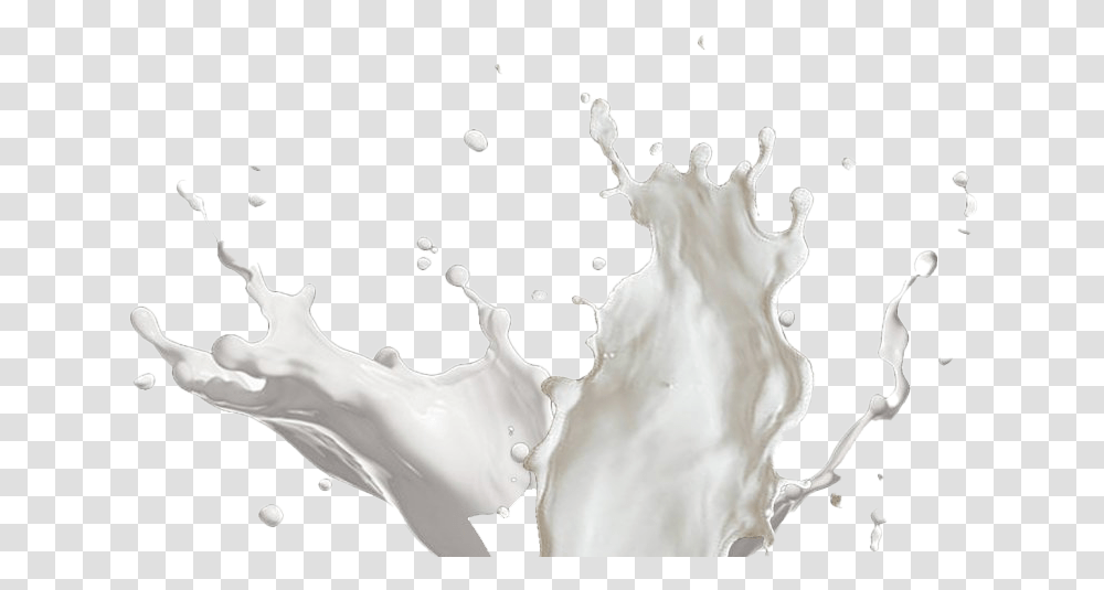 Milk Splash, Beverage, Drink, Person, Human Transparent Png