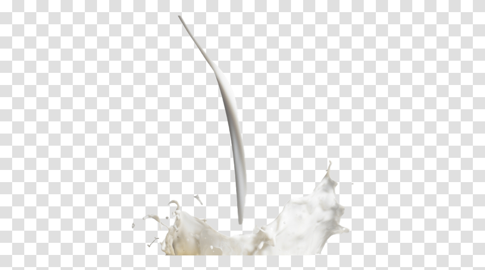 Milk Splash Hd Image Milk, Beverage, Drink, Dairy Transparent Png